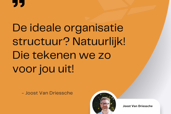De mythe van de ideale organisatiestructuur