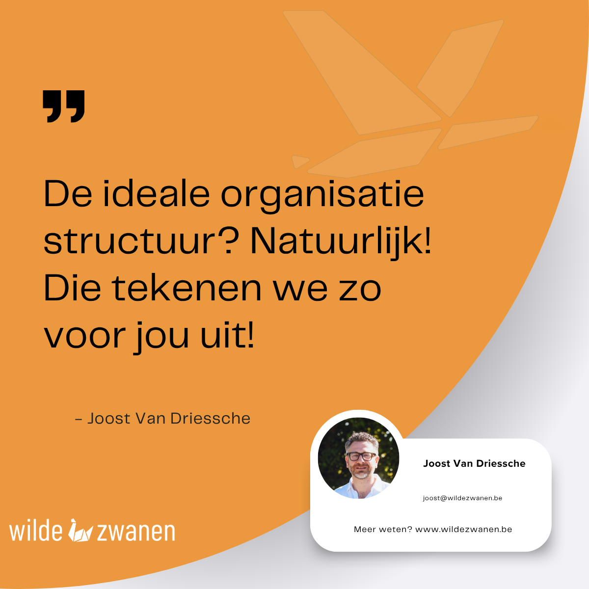 De mythe van de ideale organisatiestructuur
