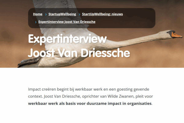 Expertinterview Joost Van Driessche