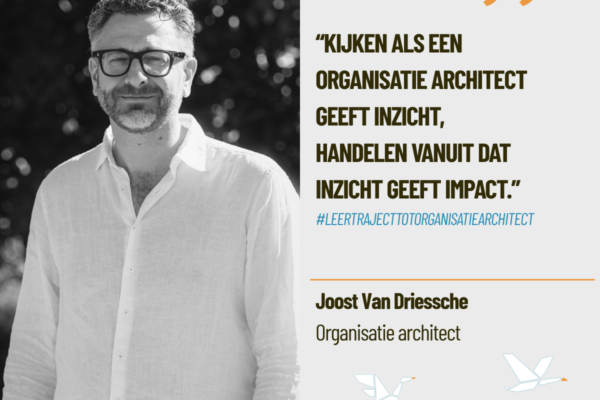 Organisatiearchitectuur als lens voor leiderschap